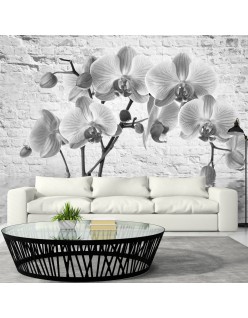 Фототапет - Orchid in Shades of Gray