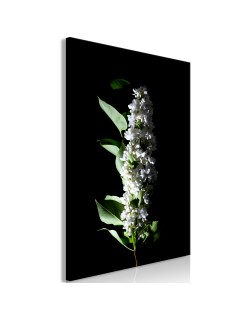 Картина - White Lilacs (1 Part) Vertical