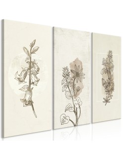 Картина - Herbarium (3 Parts)