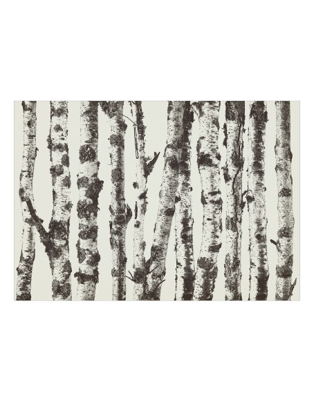 Фототапет - Stately Birches - First Variant