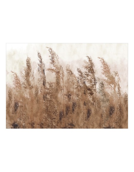 Самозалепващ фототапет - Tall Grasses - Brown