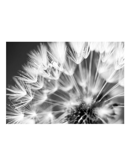 Фототапет - Dandelion: Kiss of the Morning