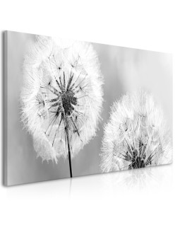 Картина - Fluffy Dandelions (1 Part) Grey Wide