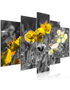 Картина - Yellow Poppies (5 Parts) Wide