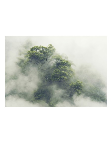 Самозалепващ фототапет - Foggy Amazon