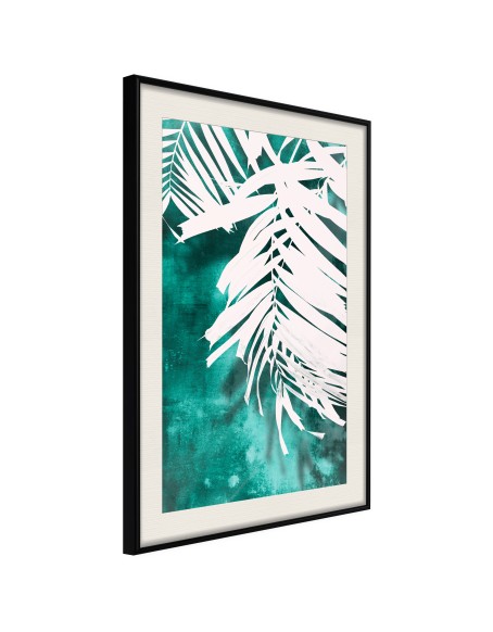 Плакат - White Palm on Teal Background