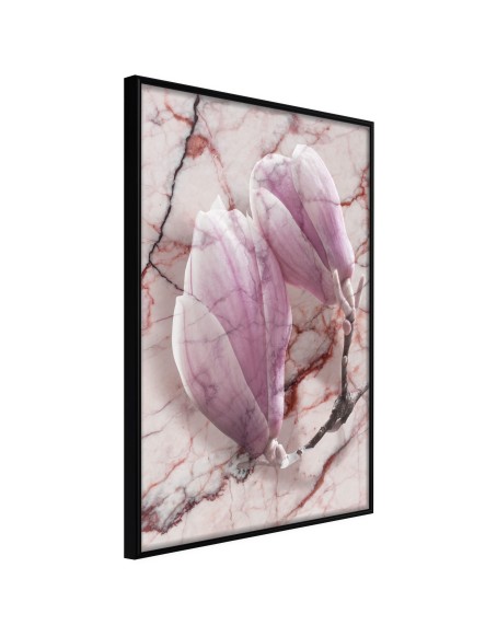 Плакат - Magnolia on Marble Background