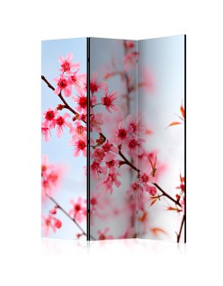 Параван - Symbol of Japan - sakura flowers [Room Dividers]