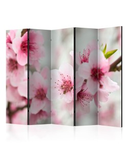 Параван - Spring, blooming tree - pink flowers II [Room Dividers]