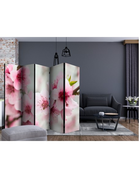 Параван - Spring, blooming tree - pink flowers II [Room Dividers]