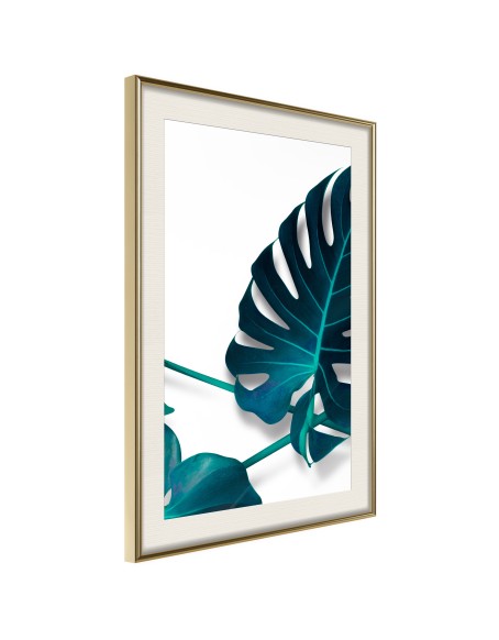 Плакат - Turquoise Monstera I