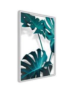 Плакат - Turquoise Monstera II