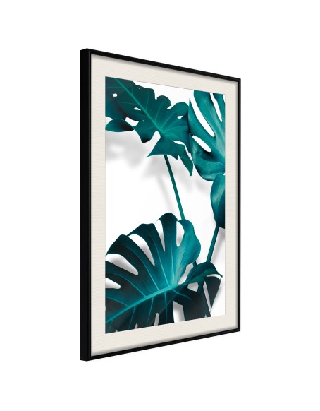 Плакат - Turquoise Monstera II