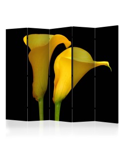 Параван - Two yellow calla flowers on a black background II [Room Dividers]