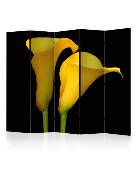 Параван - Two yellow calla flowers on a black background II [Room Dividers]