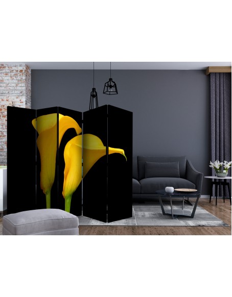 Параван - Two yellow calla flowers on a black background II [Room Dividers]