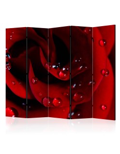 Параван - Red rose with water drops II [Room Dividers]