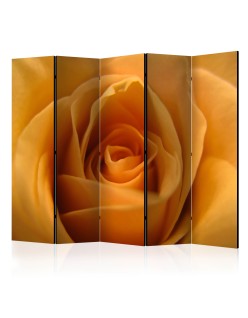 Параван - Yellow rose – a symbol of friendship II [Room Dividers]