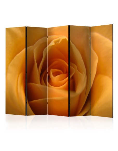 Параван - Yellow rose – a symbol of friendship II [Room Dividers]