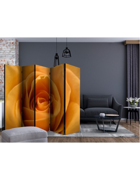 Параван - Yellow rose – a symbol of friendship II [Room Dividers]