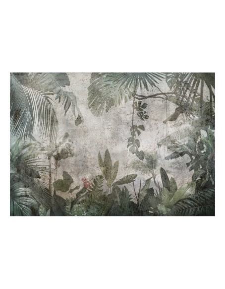 Фототапет - Rain Forest in the Fog