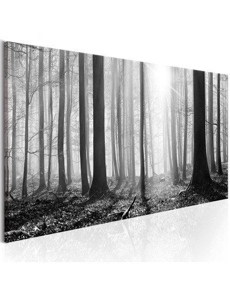 Картина - Black and White Forest