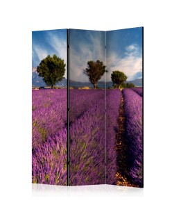 Параван - Lavender field in Provence, France [Room Dividers]