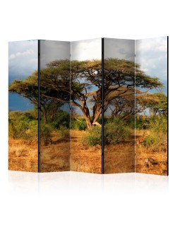 Параван - Samburu National Reserve, Kenya II [Room Dividers]