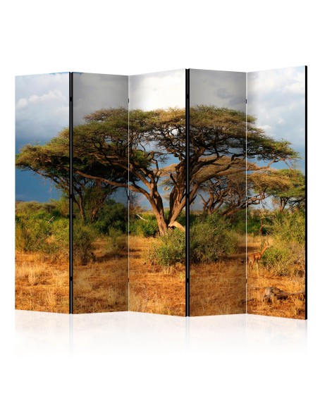 Параван - Samburu National Reserve, Kenya II [Room Dividers]