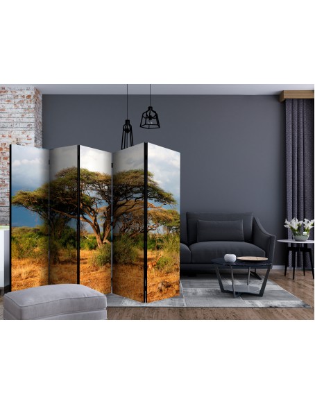 Параван - Samburu National Reserve, Kenya II [Room Dividers]