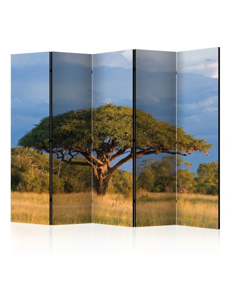 Параван - African acacia tree, Hwange National Park, Zimbabwe II [Room Dividers]