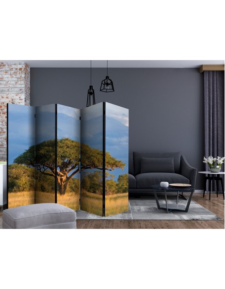 Параван - African acacia tree, Hwange National Park, Zimbabwe II [Room Dividers]