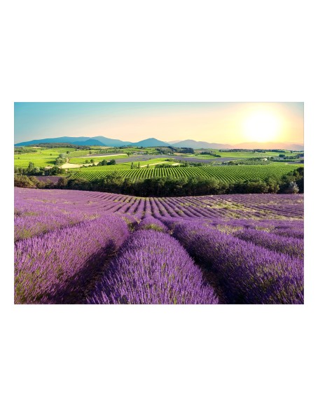 Самозалепващ фототапет - Lavender Field