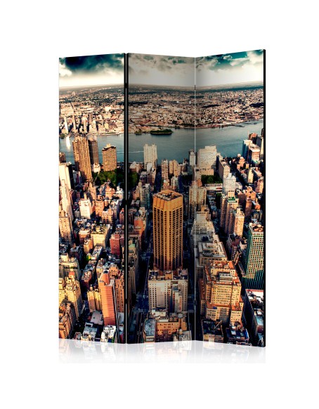 Параван - Bird's Eye View of New York [Room Dividers]