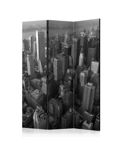 Параван - New York: skyscrapers (bird's eye view) [Room Dividers]