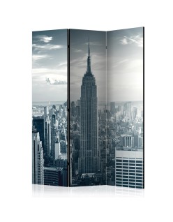 Параван - Amazing view to New York Manhattan at sunrise [Room Dividers]