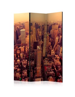 Параван - Bird Eye View Of Manhattan, New York [Room Dividers]