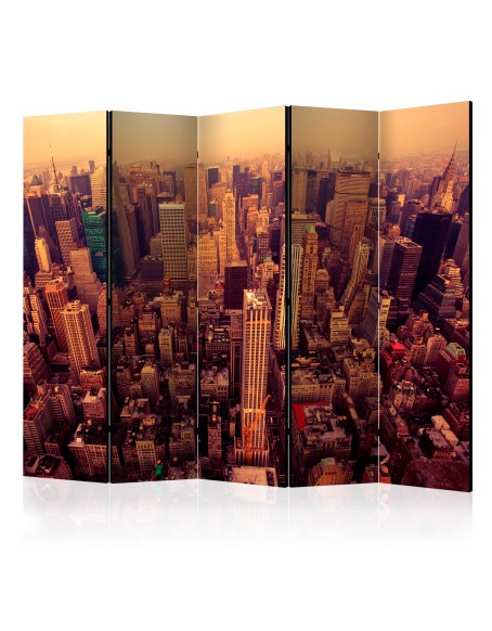 Параван - Bird Eye View Of Manhattan, New York II [Room Dividers]