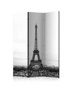 Параван - Paris: black and white photography [Room Dividers]