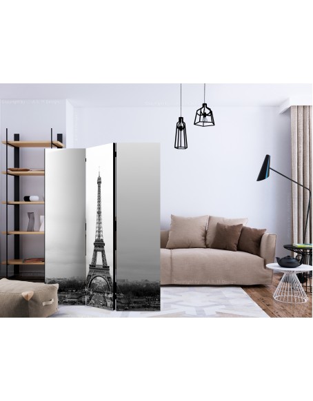 Параван - Paris: black and white photography [Room Dividers]