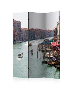 Параван - The Grand Canal in Venice, Italy [Room Dividers]