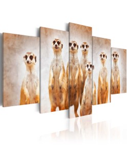 Картина - Family of meerkats