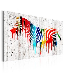 Картина - Colourful Zebra