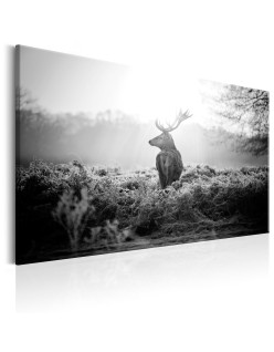 Картина - Black and White Deer