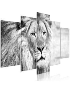 Картина - The King of Beasts (5 Parts) Wide Black and White