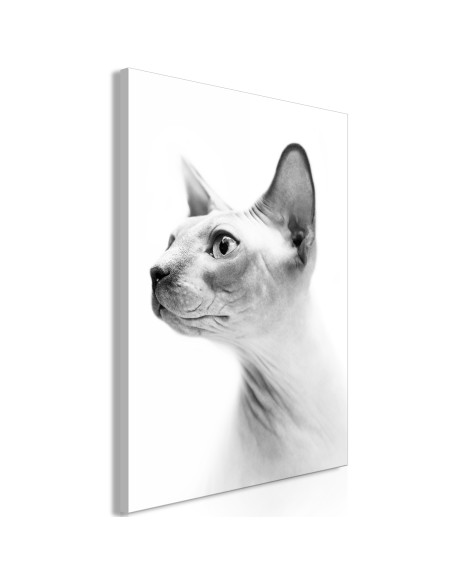 Картина - Hairless Cat (1 Part) Vertical