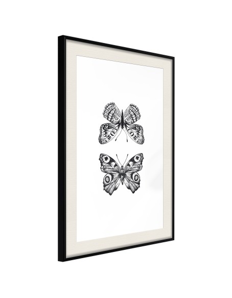 Плакат - Butterfly Collection I