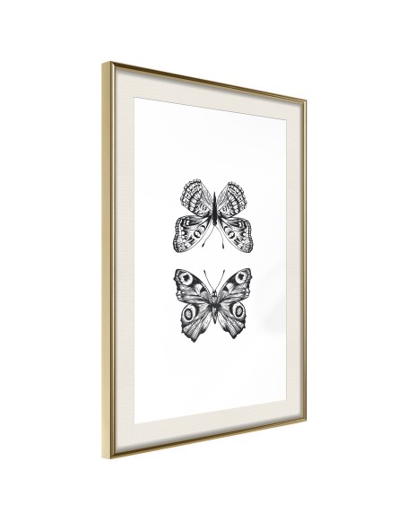 Плакат - Butterfly Collection I