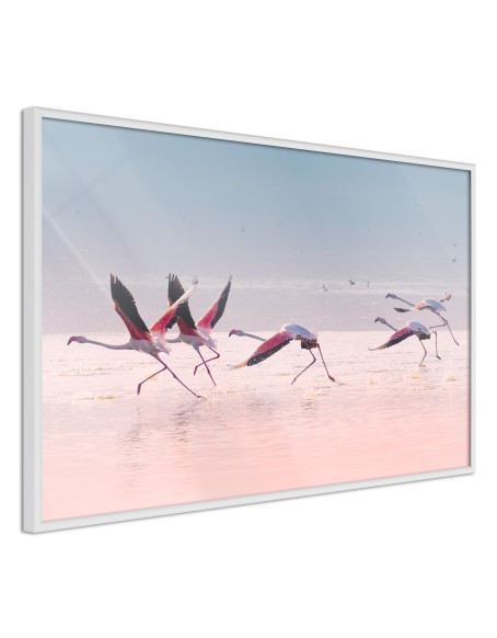 Плакат - Flamingos Breaking into a Flight