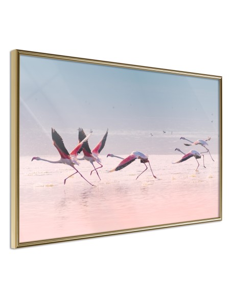 Плакат - Flamingos Breaking into a Flight